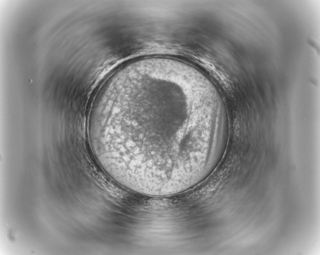 X0000093401220200711020928