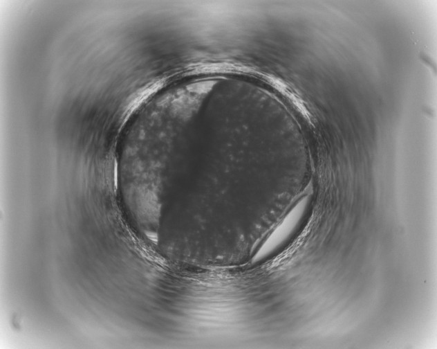 X0000093401221200711020928