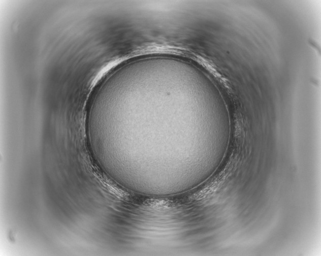 X0000093401222200711020928