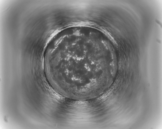 X0000093401224200711020928