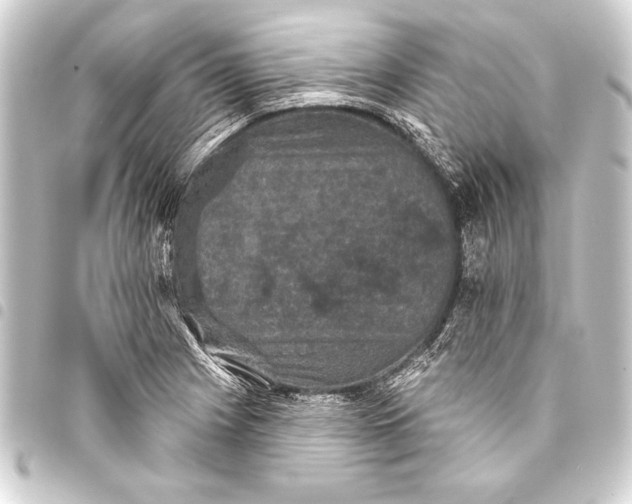 X0000093401225200711020928