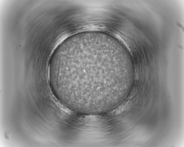 X0000093401227200711020928