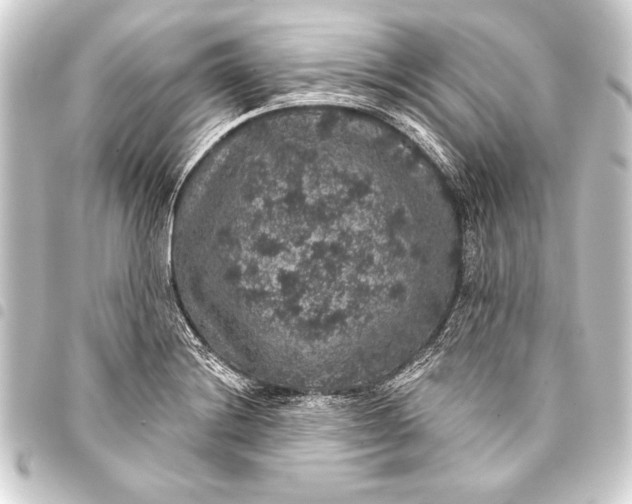 X0000093401228200711020928