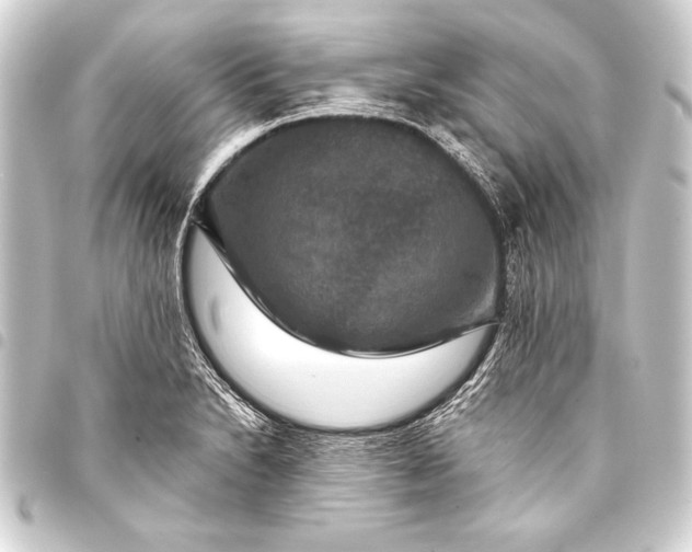 X0000093401230200711020928