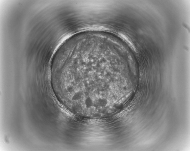 X0000093401232200711020928