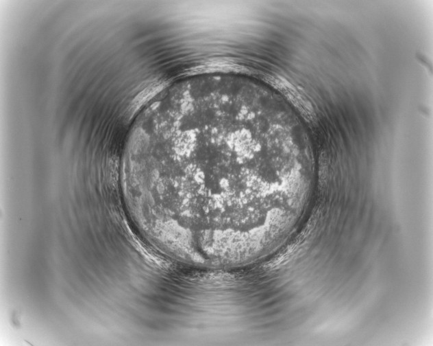 X0000093401233200711020928