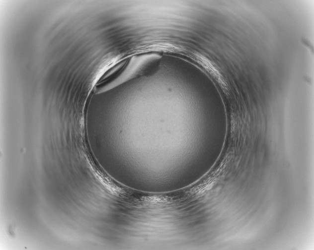 X0000093401234200711020928