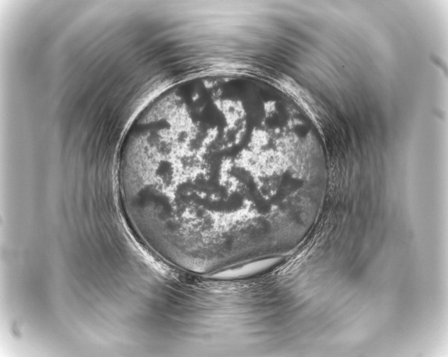 X0000093401235200711020928