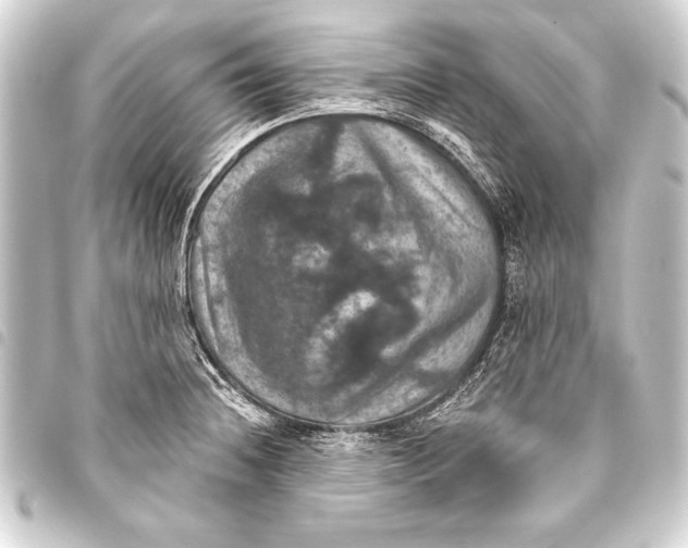 X0000093401236200711020928