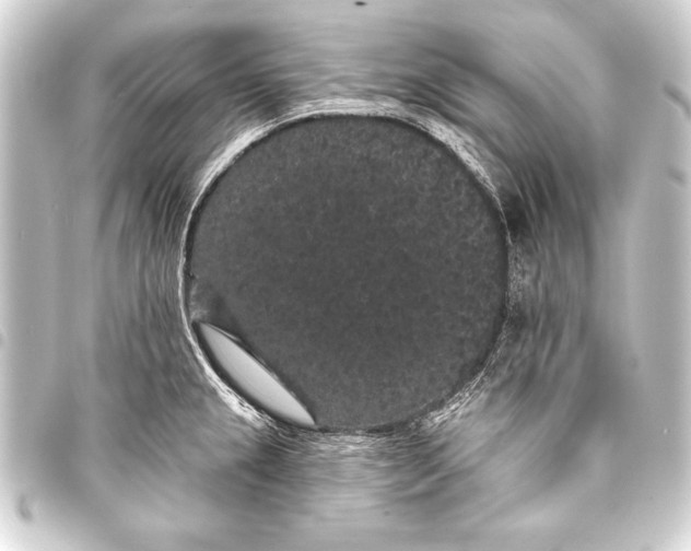 X0000093401237200711020928