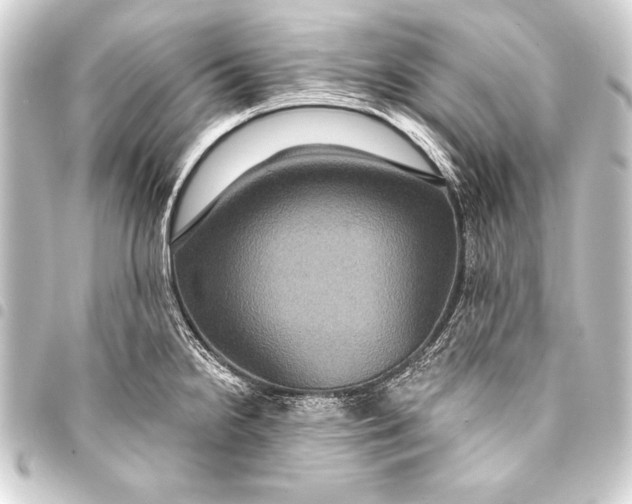 X0000093401238200711020928