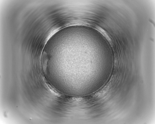 X0000093401242200711020928