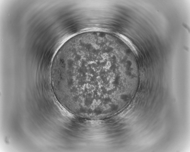 X0000093401244200711020929