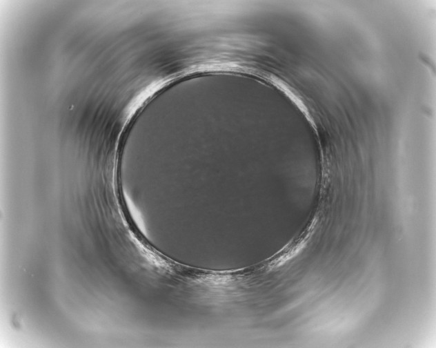 X0000093401245200711020929