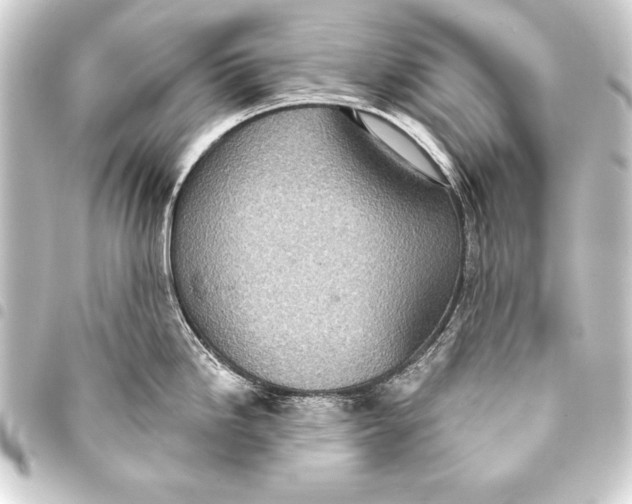 X0000093401246200711020929