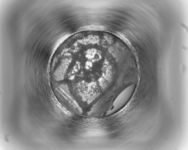 X0000093401248200711020929