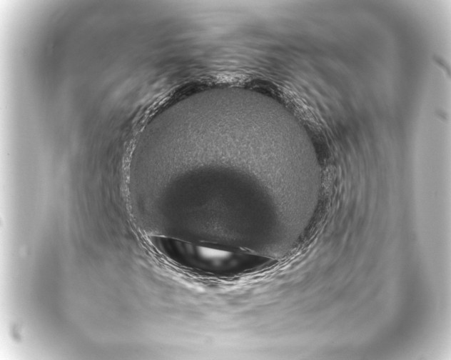 X0000093401249200711020928