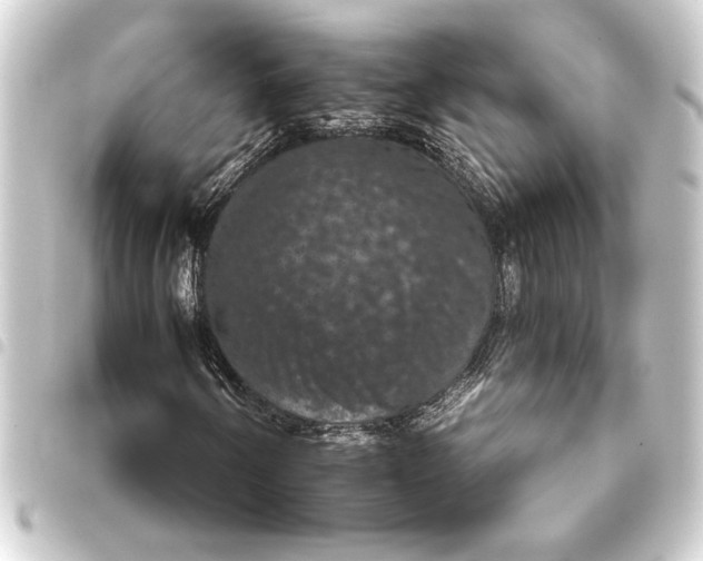 X0000093401250200711020928