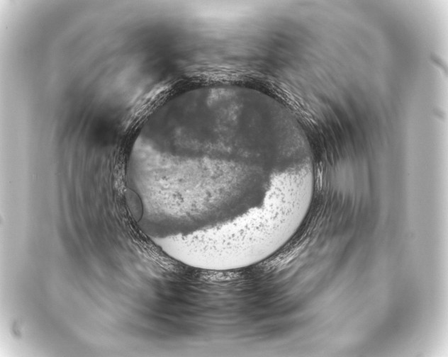 X0000093401251200711020928