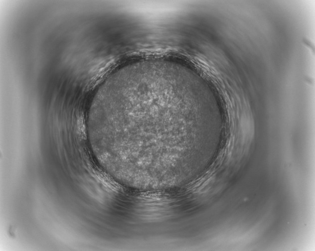 X0000093401252200711020928