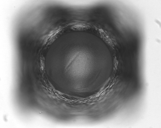 X0000093401253200711020928