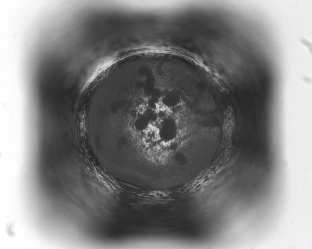 X0000093401255200711020928