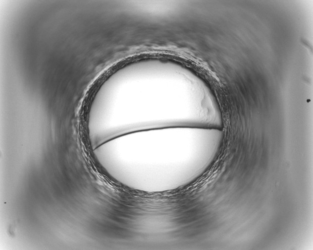 X0000093401256200711020928