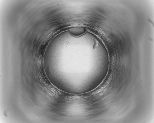 X0000093401257200711020928