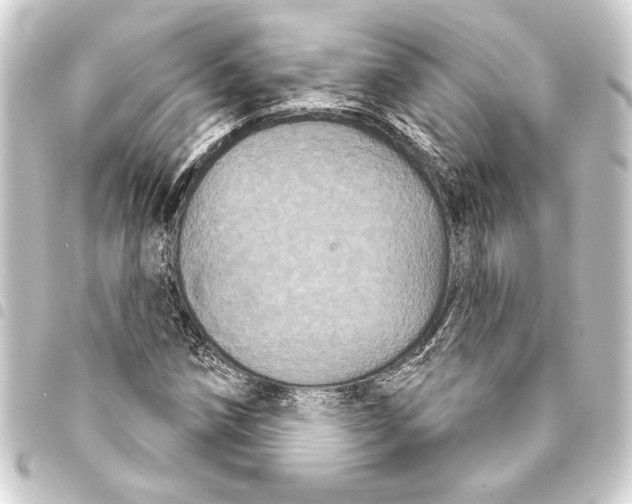 X0000093401258200711020928