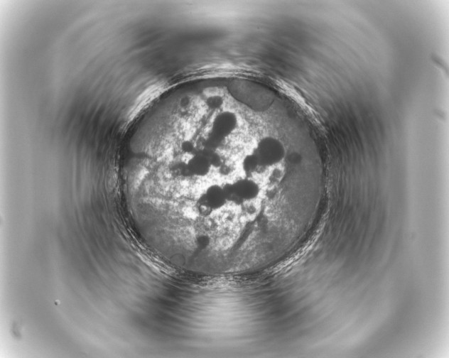 X0000093401259200711020928