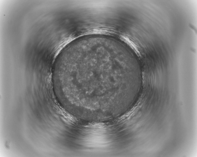 X0000093401260200711020928