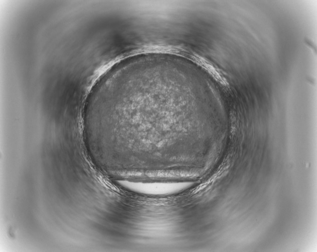 X0000093401264200711020928