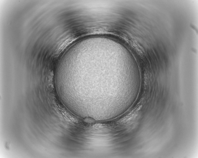 X0000093401265200711020928