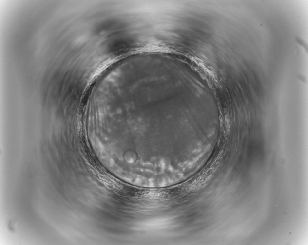 X0000093401266200711020928