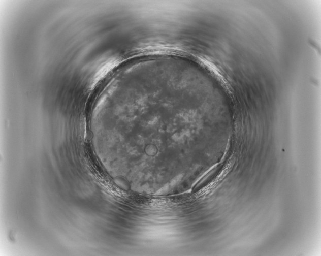 X0000093401267200711020928