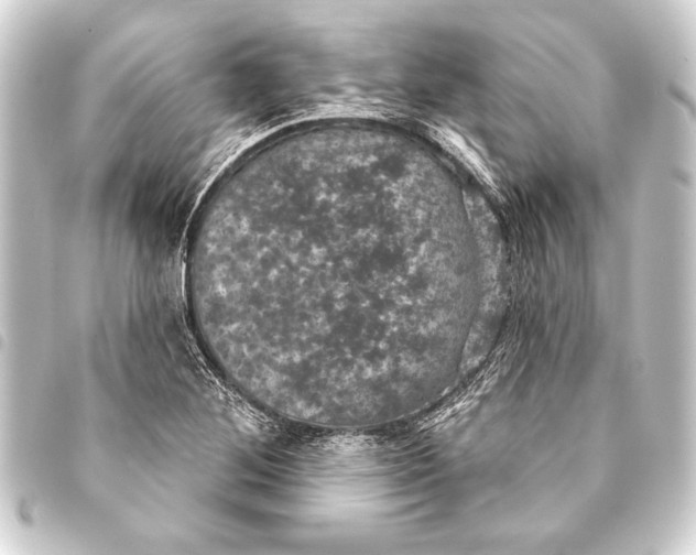 X0000093401268200711020928