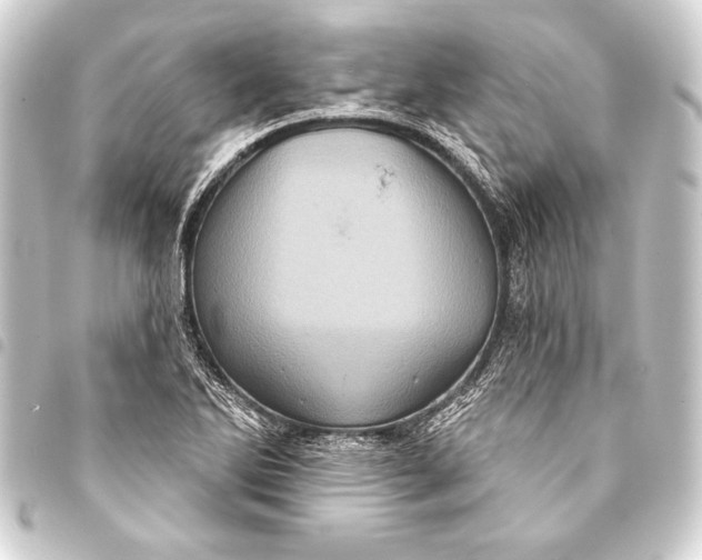 X0000093401270200711020928