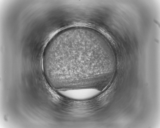 X0000093401272200711020928