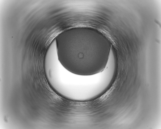 X0000093401273200711020928