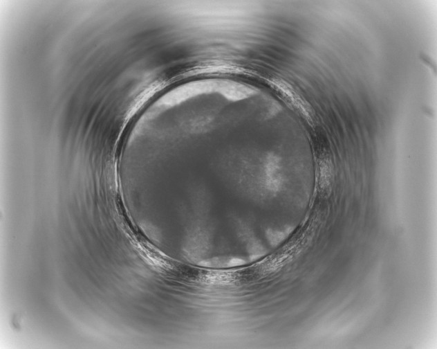 X0000093401274200711020928