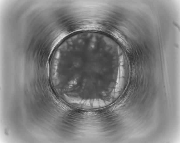 X0000093401275200711020928