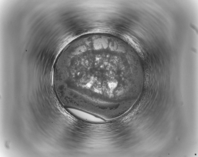 X0000093401276200711020927