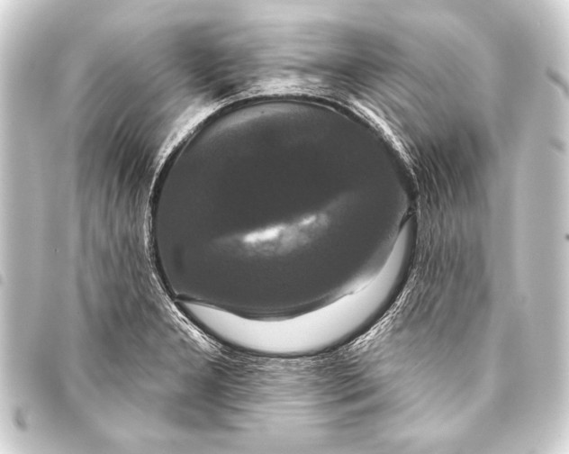 X0000093401277200711020927