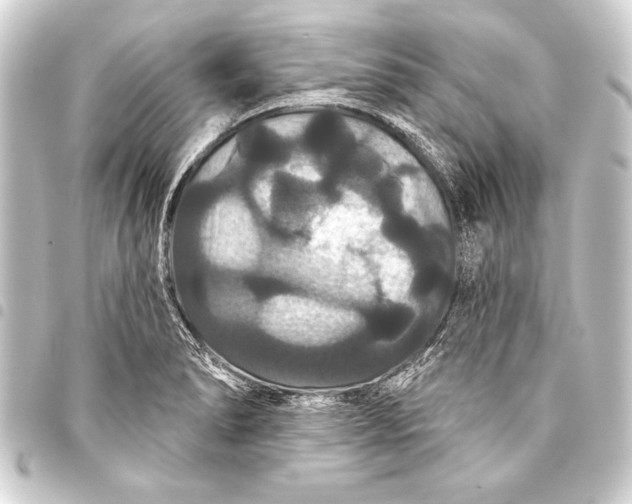 X0000093401278200711020927