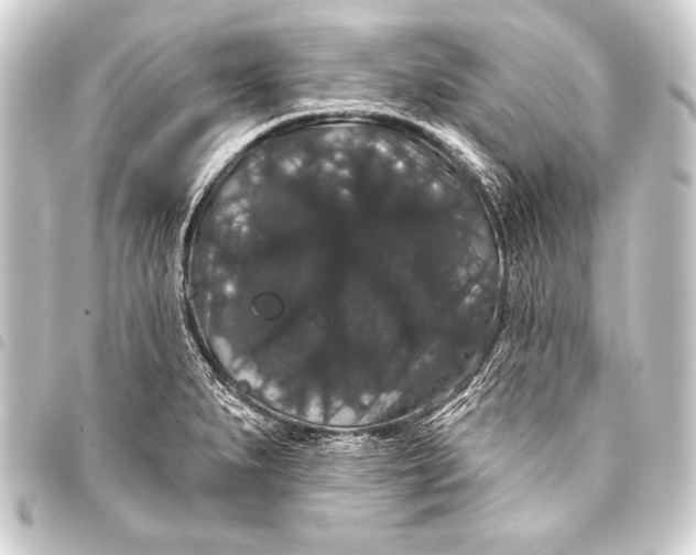 X0000093401279200711020927