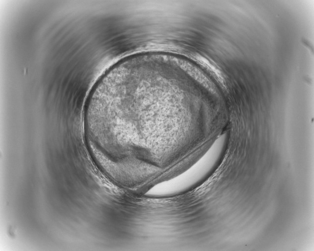 X0000093401280200711020927