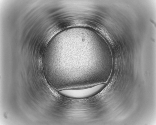 X0000093401281200711020927