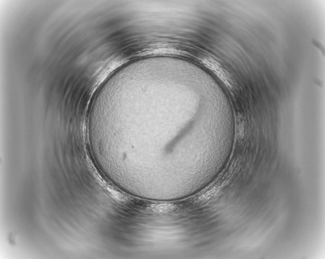 X0000093401282200711020927