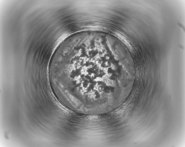 X0000093401283200711020927