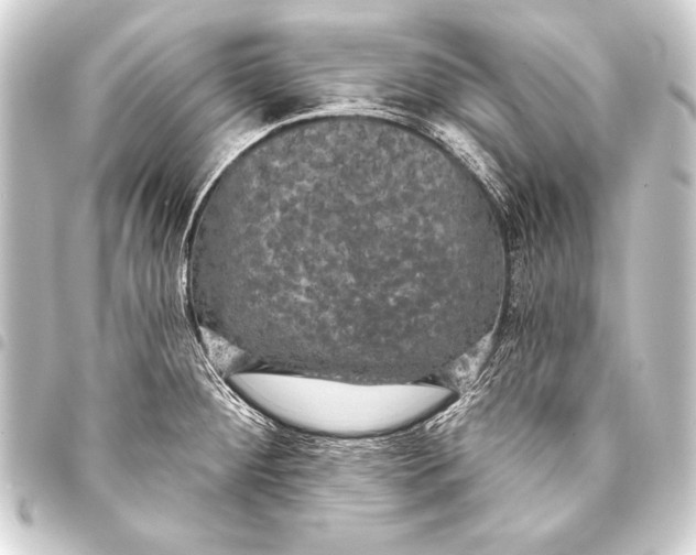 X0000093401284200711020927